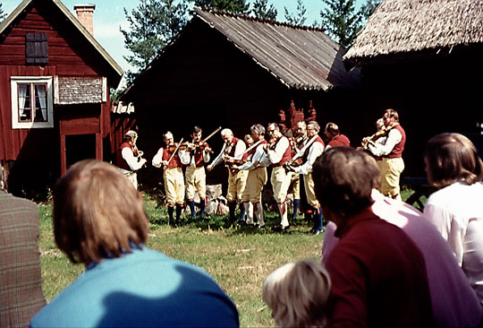 Disa 71